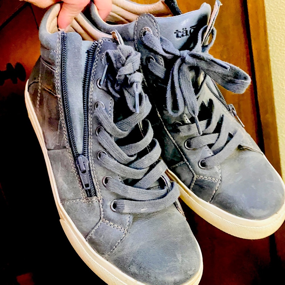 TAOS Winner 9.5